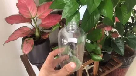 Fábrica 500ml desinfetante para lavagem das mãos plástico cosmético branco transparente garrafa pet com bomba
